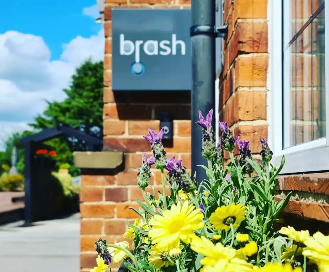 Peter Brash Dental Care gallery image 1
